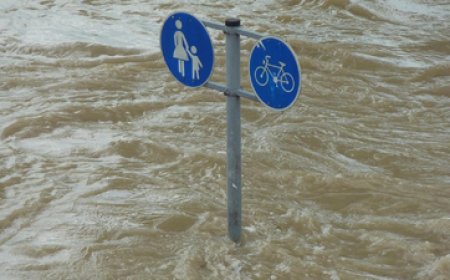 യുഎഇ വാർത്തകൾ