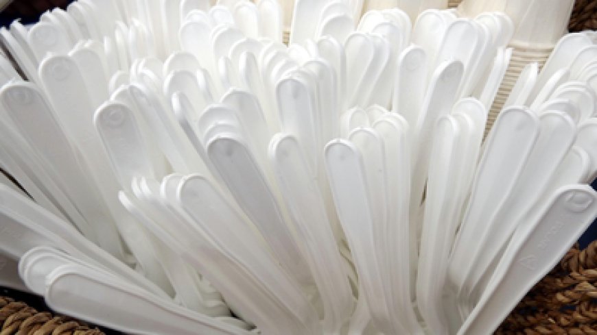 യുഎഇ വാർത്തകൾ