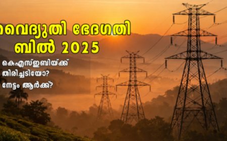 Electricity Amendment Bill 2025
