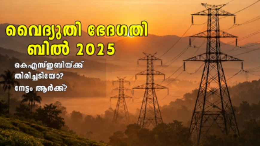 Electricity Amendment Bill 2025