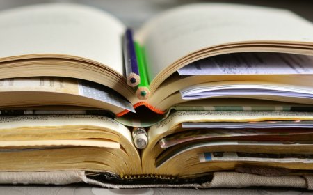 ന്യൂനപക്ഷ വിദ്യാർത്ഥികൾക്കുള്ള ഉയർന്ന വിദ്യാഭ്യാസത്തിന് പിന്തുണയേകുന്ന മദർ തെരേസ സ്കോളർഷിപ്പ്