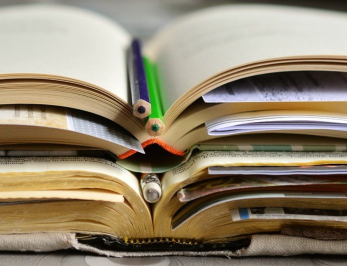 ന്യൂനപക്ഷ വിദ്യാർത്ഥികൾക്കുള്ള ഉയർന്ന വിദ്യാഭ്യാസത്തിന് പിന്തുണയേകുന്ന മദർ തെരേസ സ്കോളർഷിപ്പ്