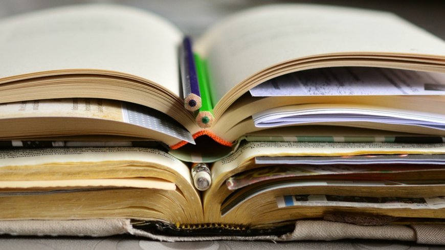 ന്യൂനപക്ഷ വിദ്യാർത്ഥികൾക്കുള്ള ഉയർന്ന വിദ്യാഭ്യാസത്തിന് പിന്തുണയേകുന്ന മദർ തെരേസ സ്കോളർഷിപ്പ്